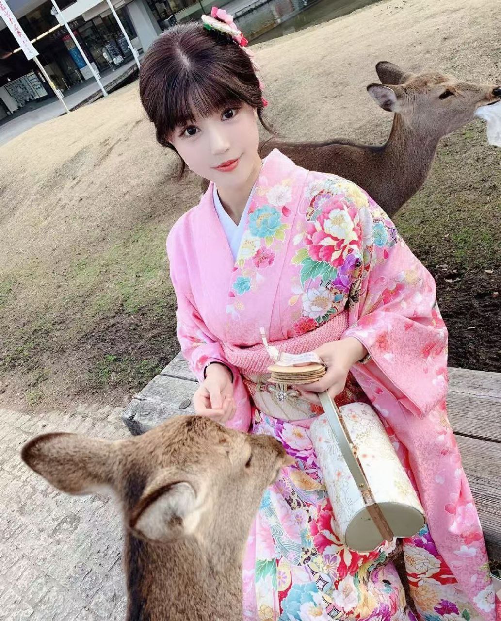 南京 日本樱花妹子
